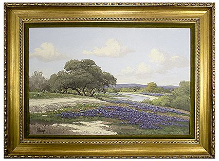 Texas Bluebonnets