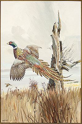 Pheasant by Franklin Clay McGaughy Jr - Auction record, sale price, and art valuation. Compare with similar artists and explore comparable artworks.
