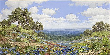 Bluebonnets