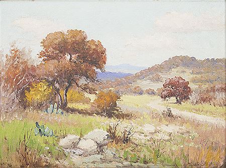 Hill Country Landscape