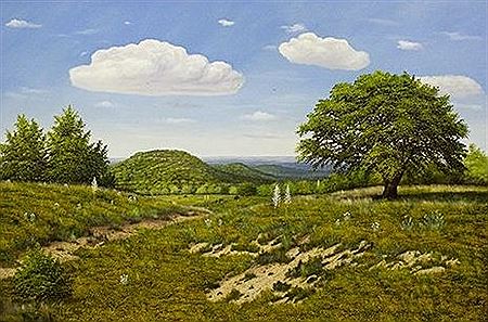 Field of Yellow Flowers, 1979