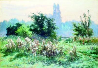 PRAIRIE FLEURIE EN BORD DE RIVIÈRE