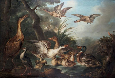 Canards et volatiles dans une marre