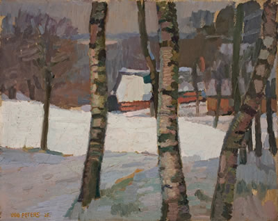 BAUERNHAUS HINTER BIRKEN IM WINTER