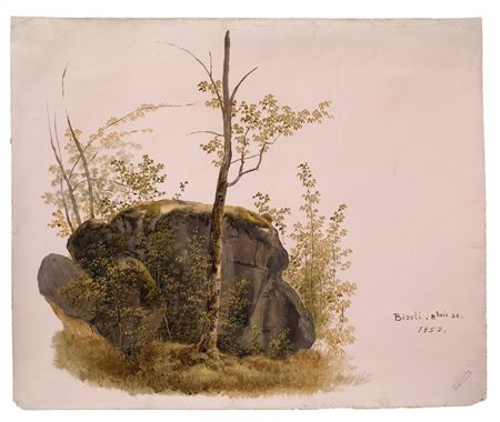 Baum vor Felsen