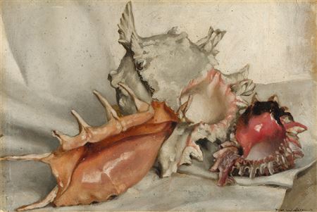 „Seeschnecken"