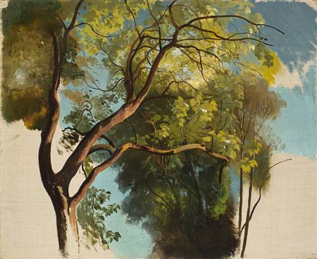 Tree study from the park of Villa Carlotta by Carl Maria Nicolaus Hummel - Auction record, sale price, and art valuation. Compare with similar artists and explore comparable artworks.