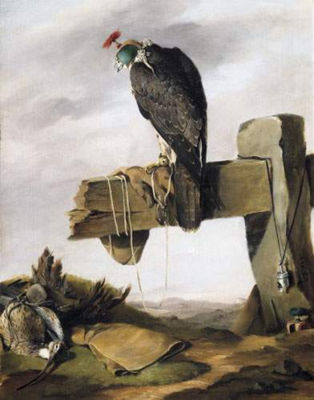 Hunting eagle