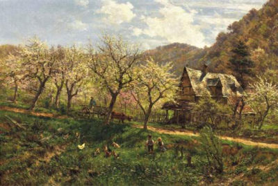 Spring on the fields