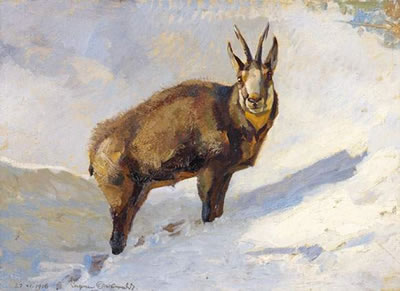 Chamois buck