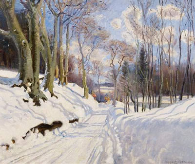 Sunny winter day in the forest