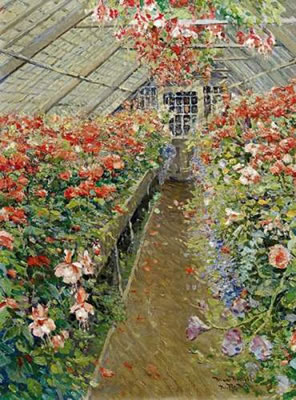 Blossoming geranium and begonias in a greenhaus