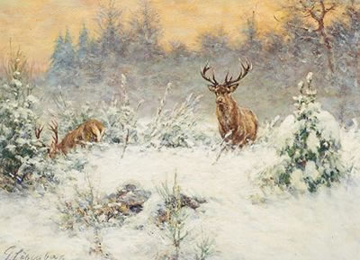 Hirsch in der Winterdämmerung