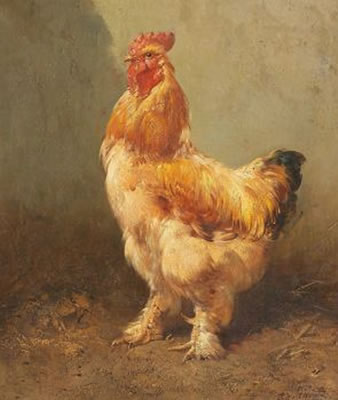 Stolzer Hahn
