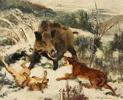 Eber von Hunden gestellt