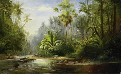 South American jungle landscape with cheetah