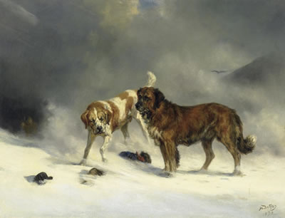 Avalanche dogs