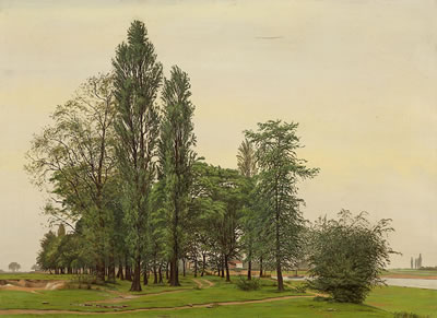 River landscape.