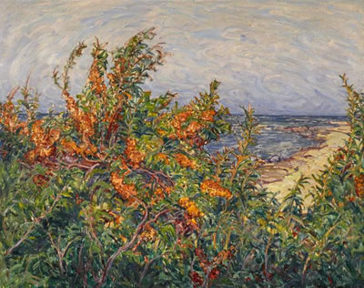 Blossoming Seabuckthorn on the Baltic Sea.