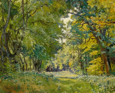 Forest Clearing.