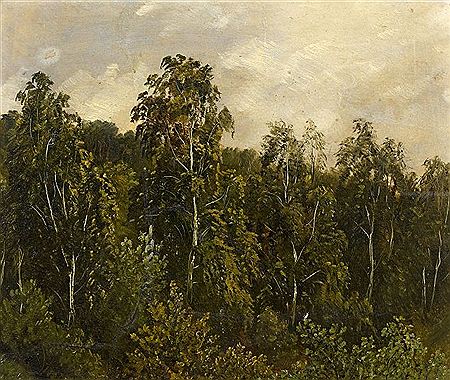 Forest Study.