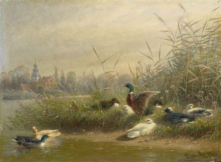 Wild Ducks on the Riverside.