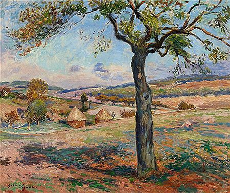 Summer Landscape in the Provence with Olive Trees and Haystack
