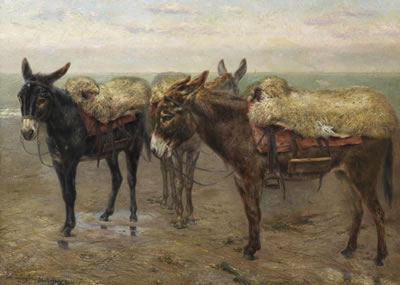 Les ânes sur la plage de Blankenberge