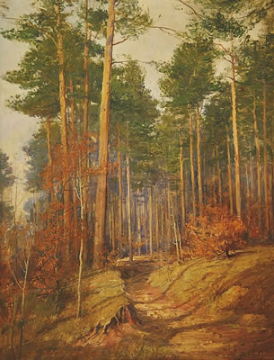 Cesta lesem