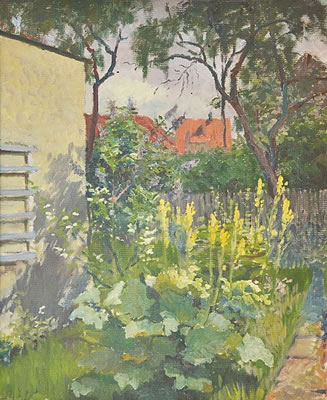 Flowering backyard