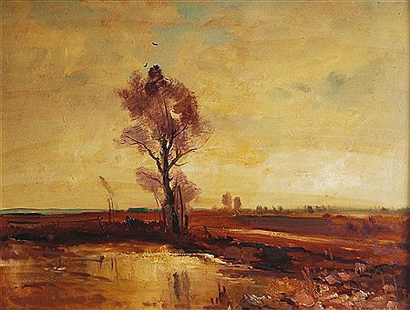 Evening landscape