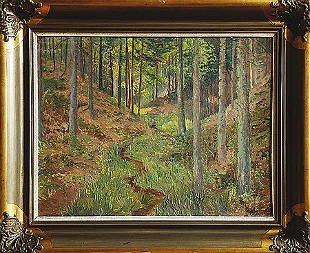 Forest ravine with a stream