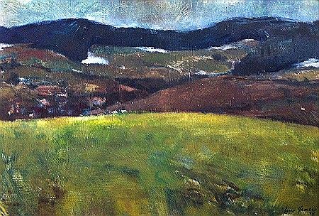 Early spring near Votice