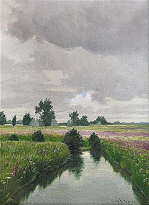 Stream in the meadows