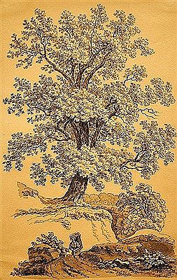 Tree with woman carrying back-basket