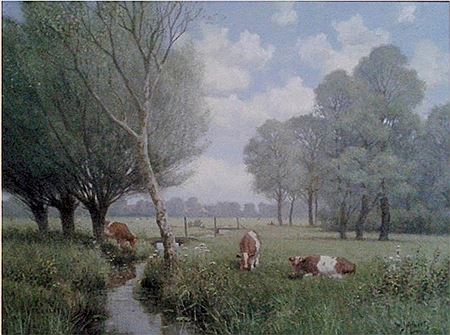 Koeien in polderlandschap