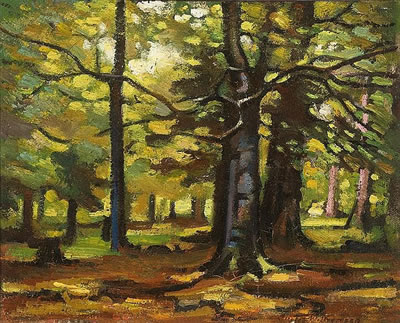 FOREST INTERIOR