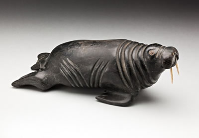 Walrus