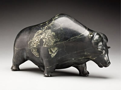 Musk-ox