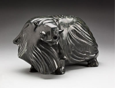 Muskox, ca. 2006-08