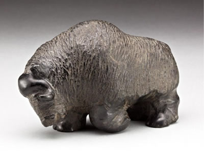 Muskox, ca. 1975