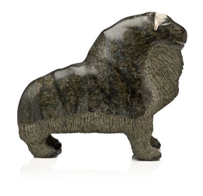 Musk-ox REPAIR HORN