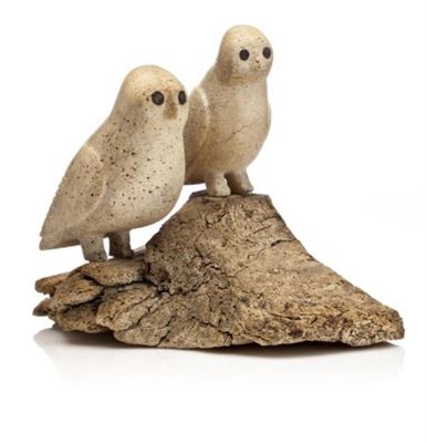 Owl and Chick