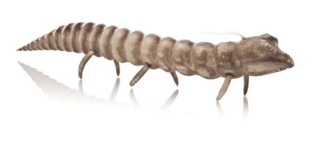 Snow Worm early-mid 1990s