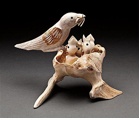 Bird Feeding Hungry Chicks