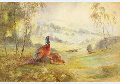 PHEASANTS IN A LANDSCAPE by James Stinton - Auction record, sale price, and art valuation. Compare with similar artists and explore comparable artworks.