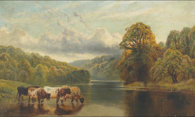 CATTLE WATERING IN A LAKE