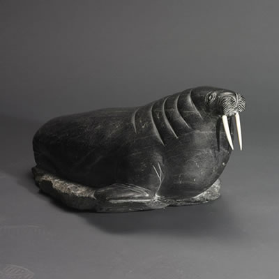 BASKING WALRUS