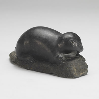 Beaver