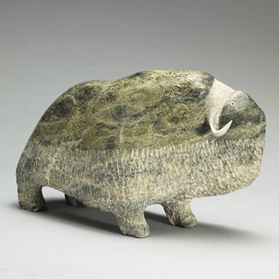 MUSK OX